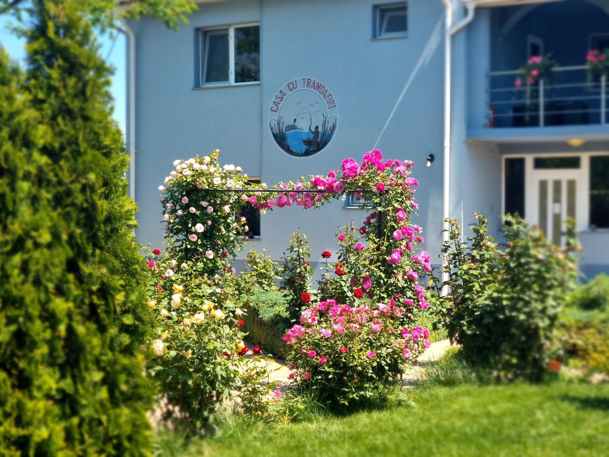 Casa Cu Trandafiri Муригьол Екстериор снимка